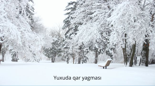 yuxuda qar yagmasi
